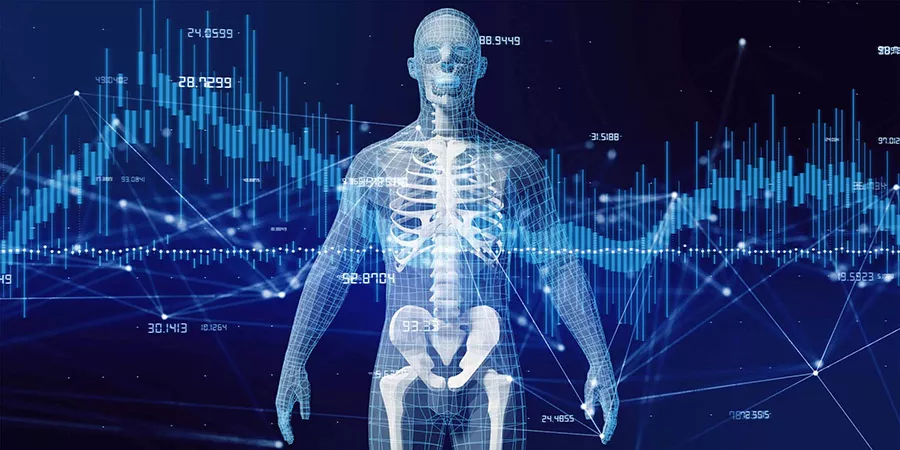 digital-rendering-of-the-human-anatomy-min-scaled.jpeg